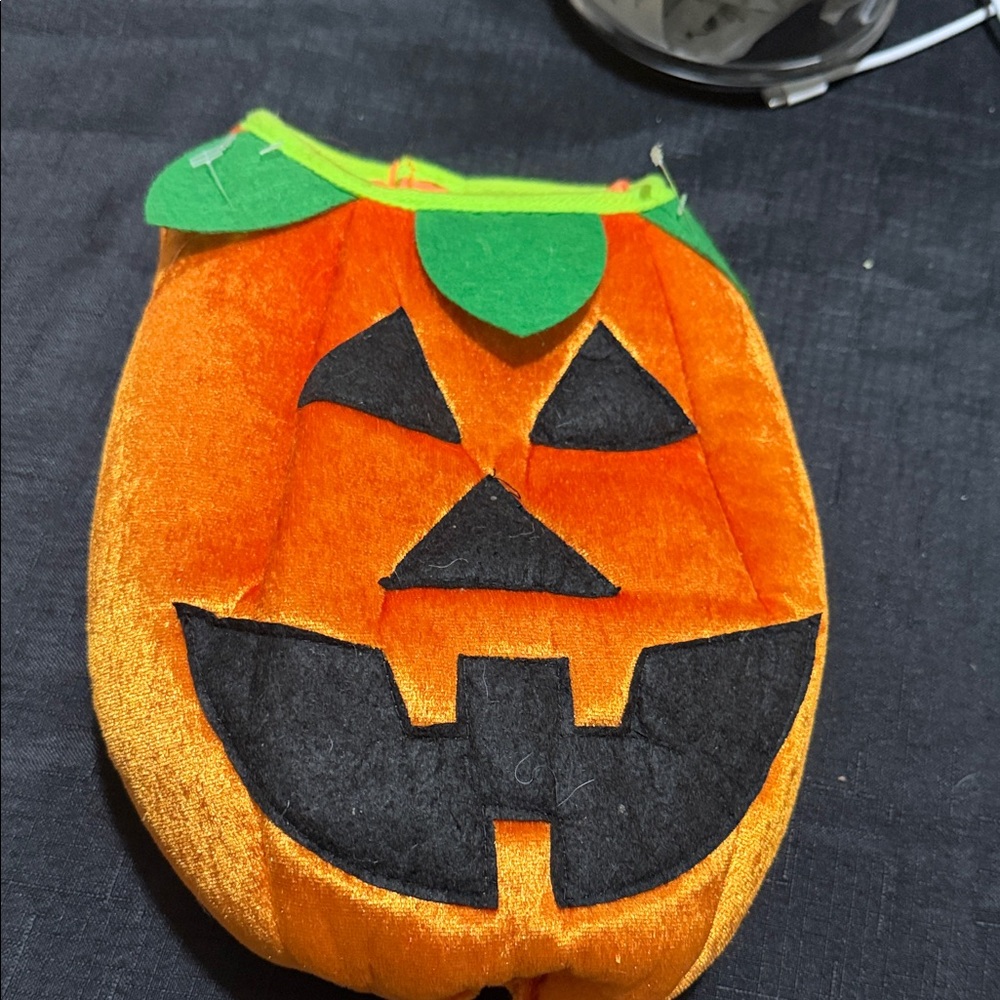 Orange Pumpkin dog
